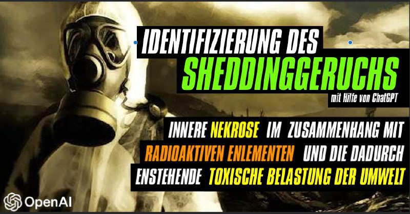 Bild ohne Beschreibung